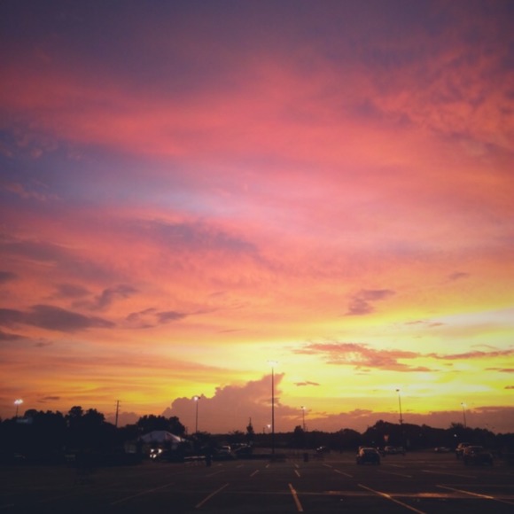 Meet your Posher, Hailey - Picture 1 of 1